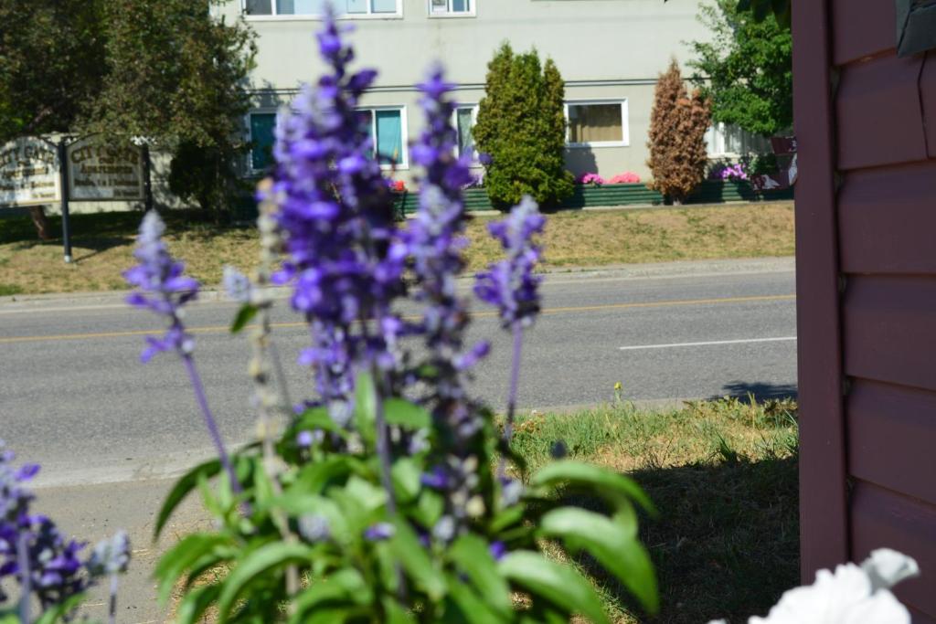 Queensway Court Motel Prince George Dış mekan fotoğraf